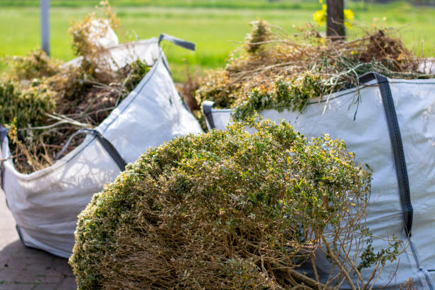 Best Appliance Removal Near Me  in Leadville, CO