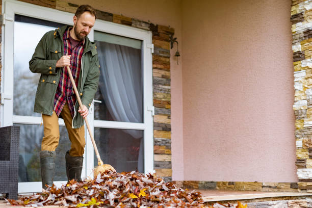 Best Yard Cleanup Services  in Leadville, CO
